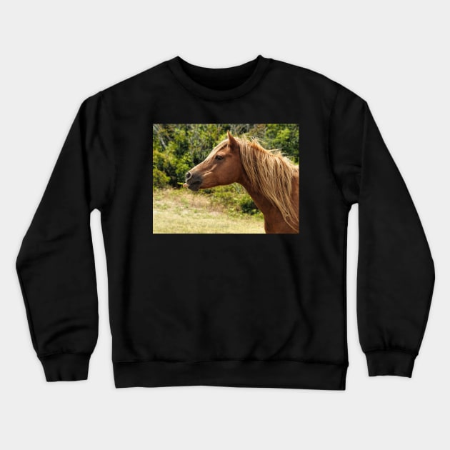 Assateague Pony Blowing Raspberries Crewneck Sweatshirt by Swartwout